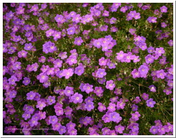 04x104_0426c.jpg