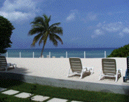 Blue Iguana 2