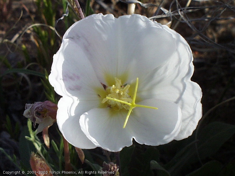 Image 05.jpg