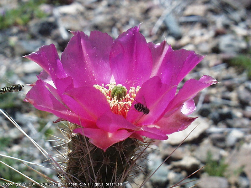 Image 07.jpg
