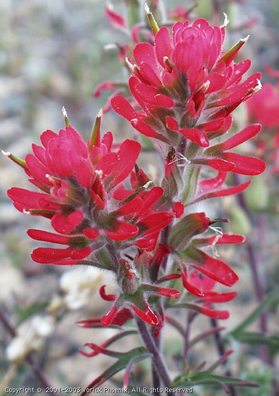 Image 23.jpg