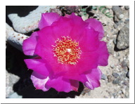 Image 15.JPG